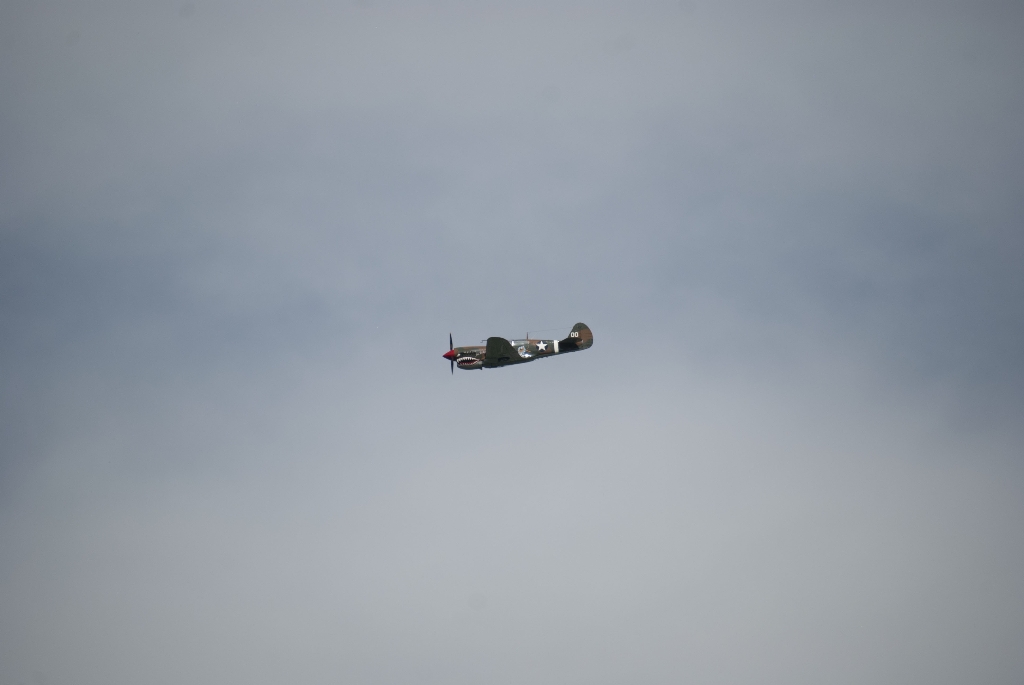 DSC_3597.jpg